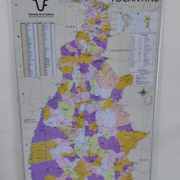 mapa do tocantins com municípios coloridos com azul, roxo e laranja, rodovias, lista de cidades por população